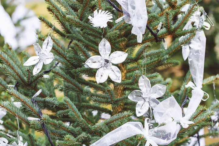 Nova zahrada - stromcek